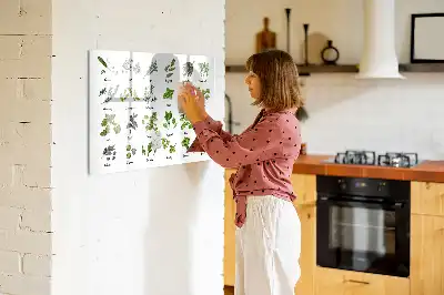 Tableau magnétique à dessiner modèle types d'arbres