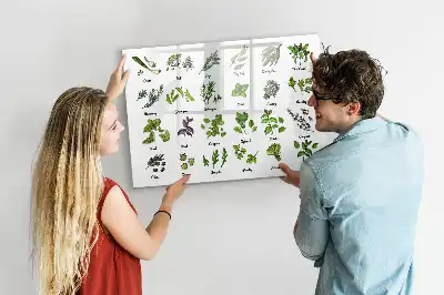 Tableau magnétique à dessiner modèle types d'arbres