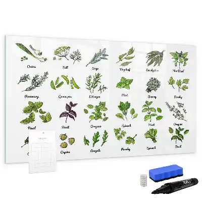 Tableau magnétique à dessiner modèle types d'arbres