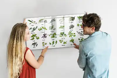 Tableau magnétique à dessiner modèle types d'arbres
