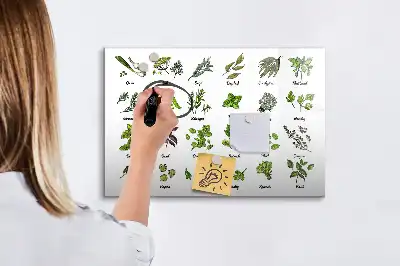 Tableau magnétique à dessiner modèle types d'arbres