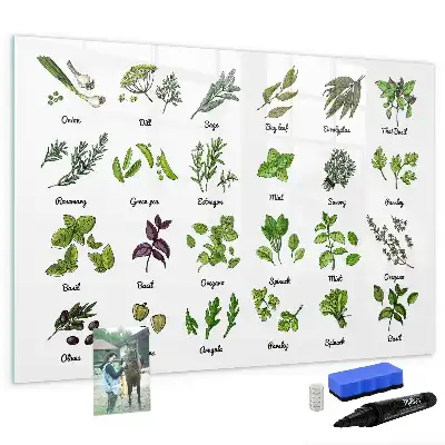 Tableau magnétique à dessiner modèle types d'arbres