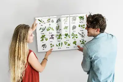 Tableau magnétique à dessiner modèle types d'arbres