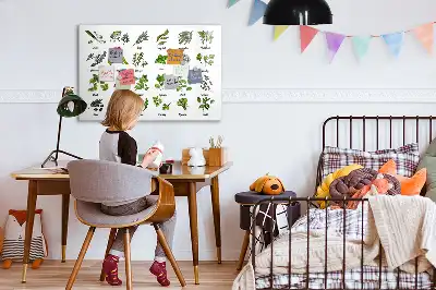 Tableau magnétique à dessiner modèle types d'arbres