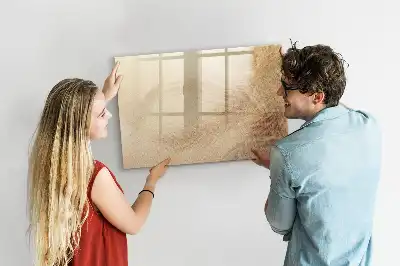 Tableau magnétique à dessiner motif feuilles abstraites