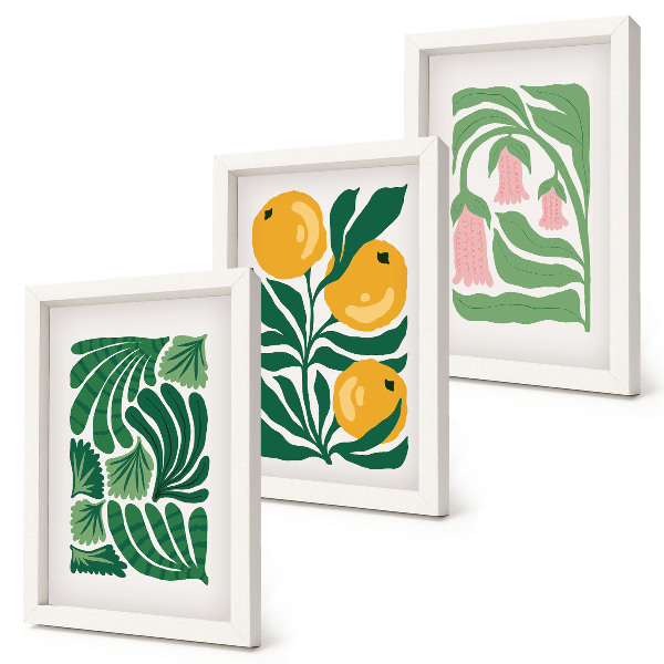 Ensemble de 3 tableaux Motifs végétaux minimalistes avec fruits et feuilles