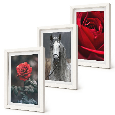 Lot de 3 tableaux Des roses rouges et un cheval dans un cadre gris