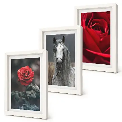 Lot de 3 tableaux représentant des roses rouges et un cheval dans un cadre gris