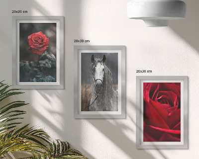 Lot de 3 tableaux Des roses rouges et un cheval dans un cadre gris