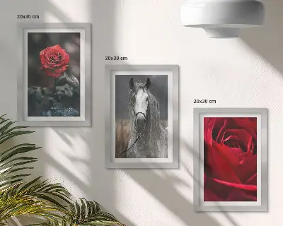 Lot de 3 tableaux représentant des roses rouges et un cheval dans un cadre gris