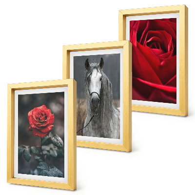 Lot de 3 tableaux Des roses rouges et un cheval dans un cadre gris