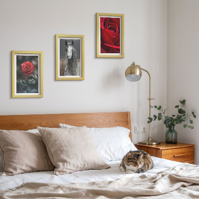 Lot de 3 tableaux Des roses rouges et un cheval dans un cadre gris