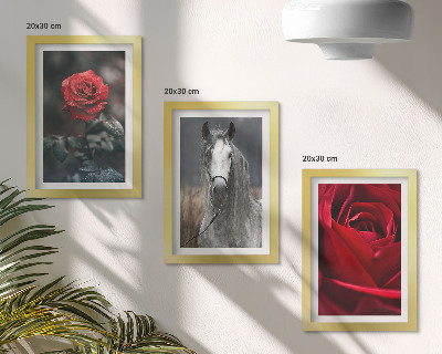 Lot de 3 tableaux Des roses rouges et un cheval dans un cadre gris