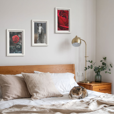Lot de 3 tableaux Des roses rouges et un cheval dans un cadre gris