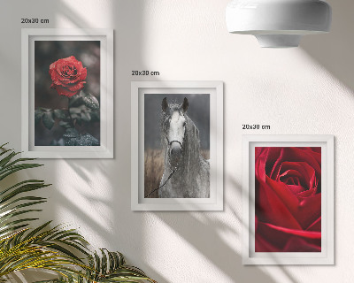 Lot de 3 tableaux Des roses rouges et un cheval dans un cadre gris