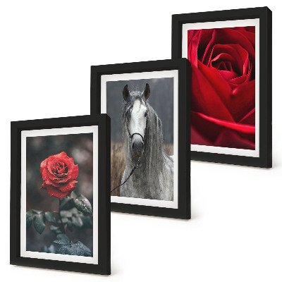 Lot de 3 tableaux Des roses rouges et un cheval dans un cadre gris