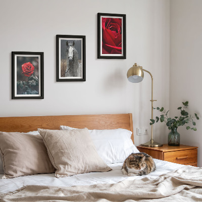 Lot de 3 tableaux Des roses rouges et un cheval dans un cadre gris