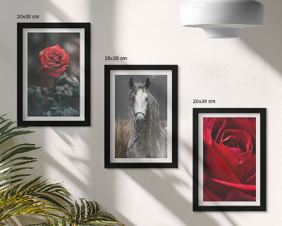 Lot de 3 tableaux Des roses rouges et un cheval dans un cadre gris