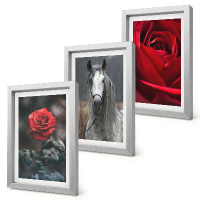 Lot de 3 tableaux Des roses rouges et un cheval dans un cadre gris