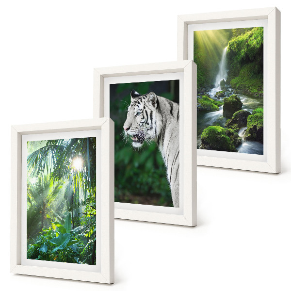 Lot de 3 tableaux Jungle avec un tigre blanc et une cascade sauvage