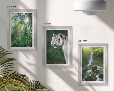 Lot de 3 tableaux Jungle avec un tigre blanc et une cascade sauvage
