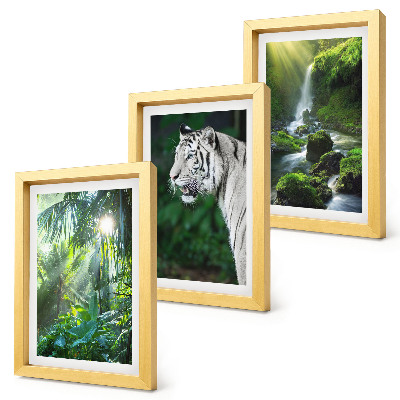 Lot de 3 tableaux Jungle avec un tigre blanc et une cascade sauvage