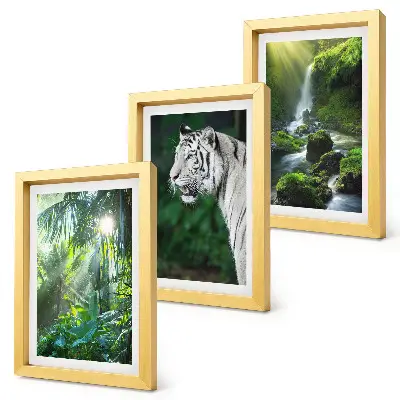 Lot de 3 tableaux représentant une jungle avec un tigre blanc et une cascade sauvage