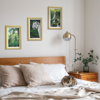 Lot de 3 tableaux Jungle avec un tigre blanc et une cascade sauvage