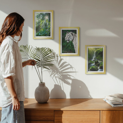Lot de 3 tableaux Jungle avec un tigre blanc et une cascade sauvage