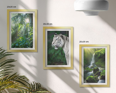 Lot de 3 tableaux Jungle avec un tigre blanc et une cascade sauvage