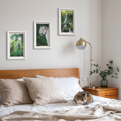 Lot de 3 tableaux Jungle avec un tigre blanc et une cascade sauvage