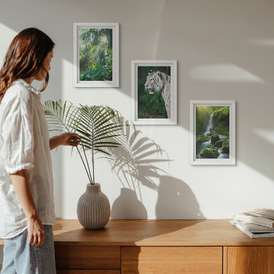 Lot de 3 tableaux Jungle avec un tigre blanc et une cascade sauvage