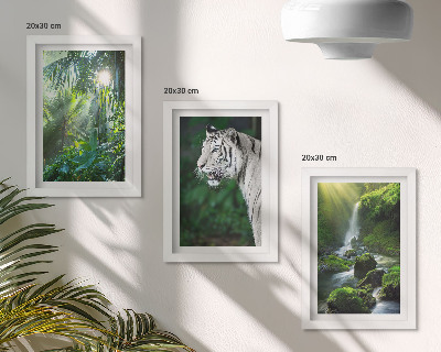 Lot de 3 tableaux Jungle avec un tigre blanc et une cascade sauvage