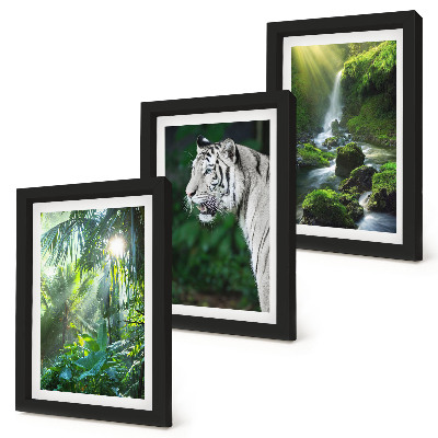 Lot de 3 tableaux Jungle avec un tigre blanc et une cascade sauvage