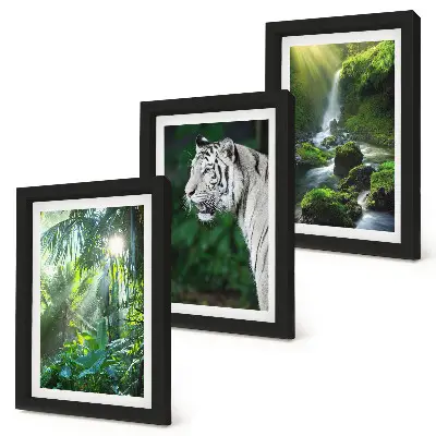 Lot de 3 tableaux représentant une jungle avec un tigre blanc et une cascade sauvage