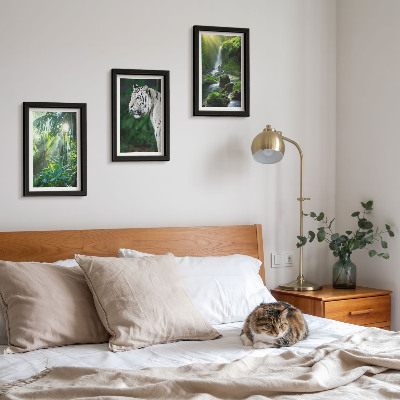 Lot de 3 tableaux Jungle avec un tigre blanc et une cascade sauvage