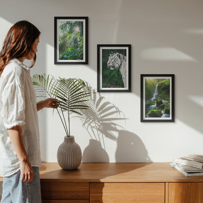 Lot de 3 tableaux Jungle avec un tigre blanc et une cascade sauvage