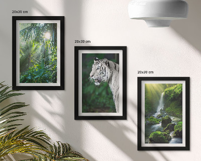 Lot de 3 tableaux Jungle avec un tigre blanc et une cascade sauvage