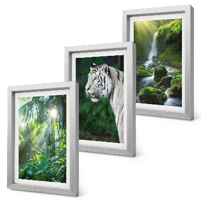 Lot de 3 tableaux Jungle avec un tigre blanc et une cascade sauvage