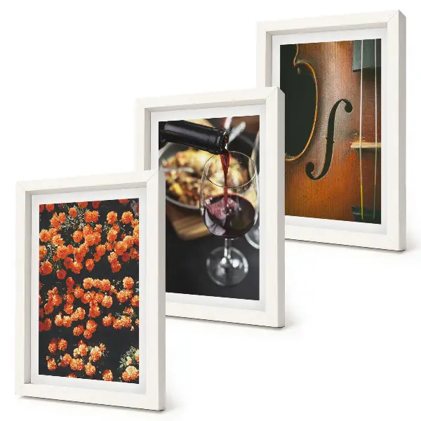 Ensemble de 3 tableaux représentant des fleurs romantiques vintage, du vin et un violon