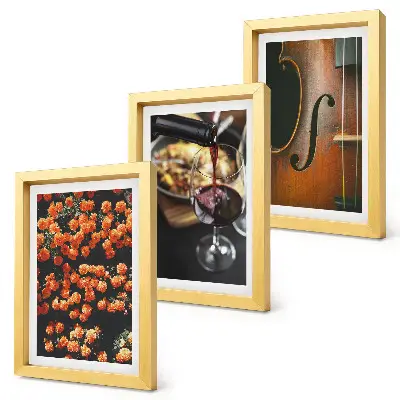 Ensemble de 3 tableaux représentant des fleurs romantiques vintage, du vin et un violon