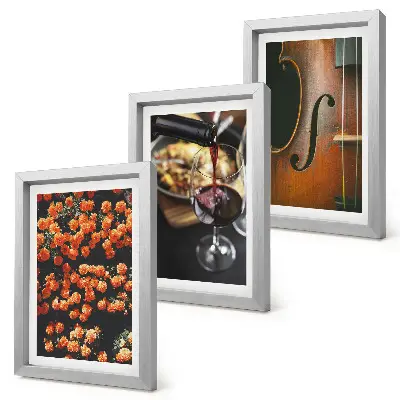 Ensemble de 3 tableaux représentant des fleurs romantiques vintage, du vin et un violon