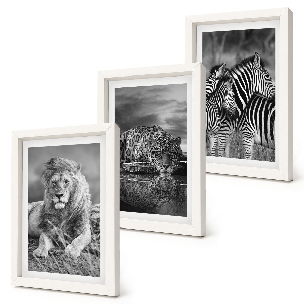 Lot de 3 tableaux Animaux sauvages de la savane : lion, jaguar et zèbre