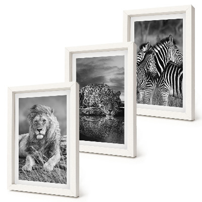 Lot de 3 tableaux Animaux sauvages de la savane : lion, jaguar et zèbre