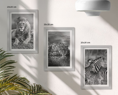 Lot de 3 tableaux Animaux sauvages de la savane : lion, jaguar et zèbre