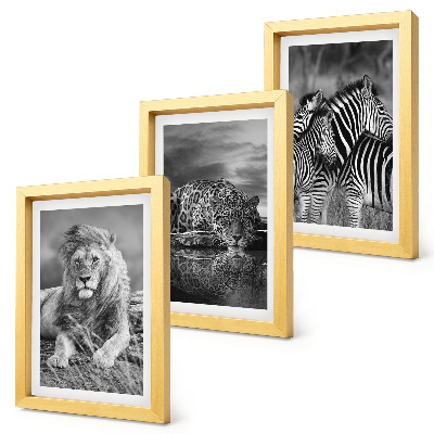 Lot de 3 tableaux Animaux sauvages de la savane : lion, jaguar et zèbre