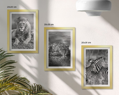 Lot de 3 tableaux Animaux sauvages de la savane : lion, jaguar et zèbre