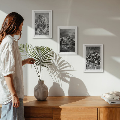 Lot de 3 tableaux Animaux sauvages de la savane : lion, jaguar et zèbre