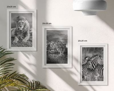 Lot de 3 tableaux Animaux sauvages de la savane : lion, jaguar et zèbre
