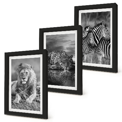 Lot de 3 tableaux Animaux sauvages de la savane : lion, jaguar et zèbre